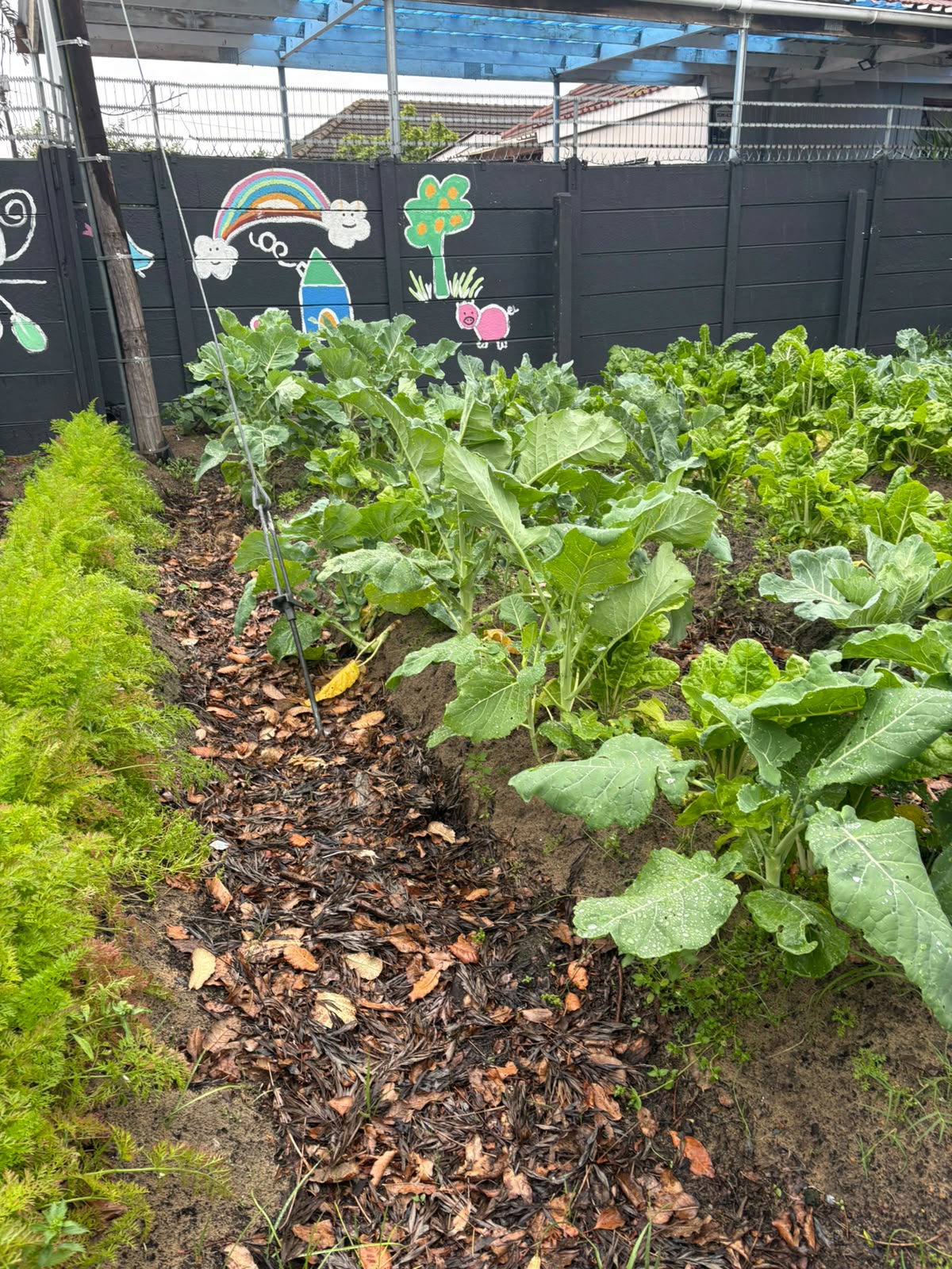 garden1
